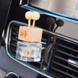 Désodorisant Voiture Clip Personnalisé SANARY