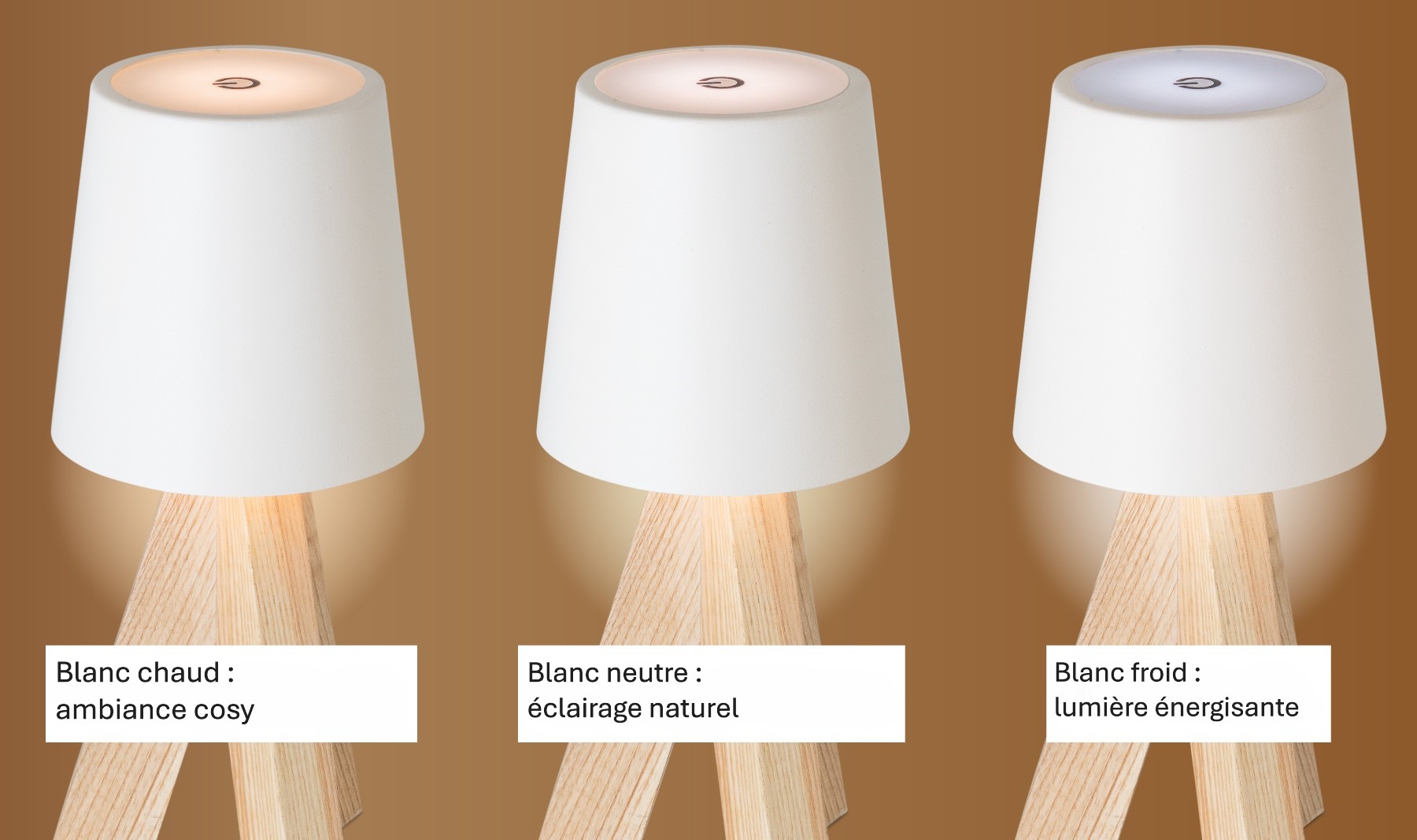 Lampe Table Tactile Rechargeable personnalisée OTI – Image 2