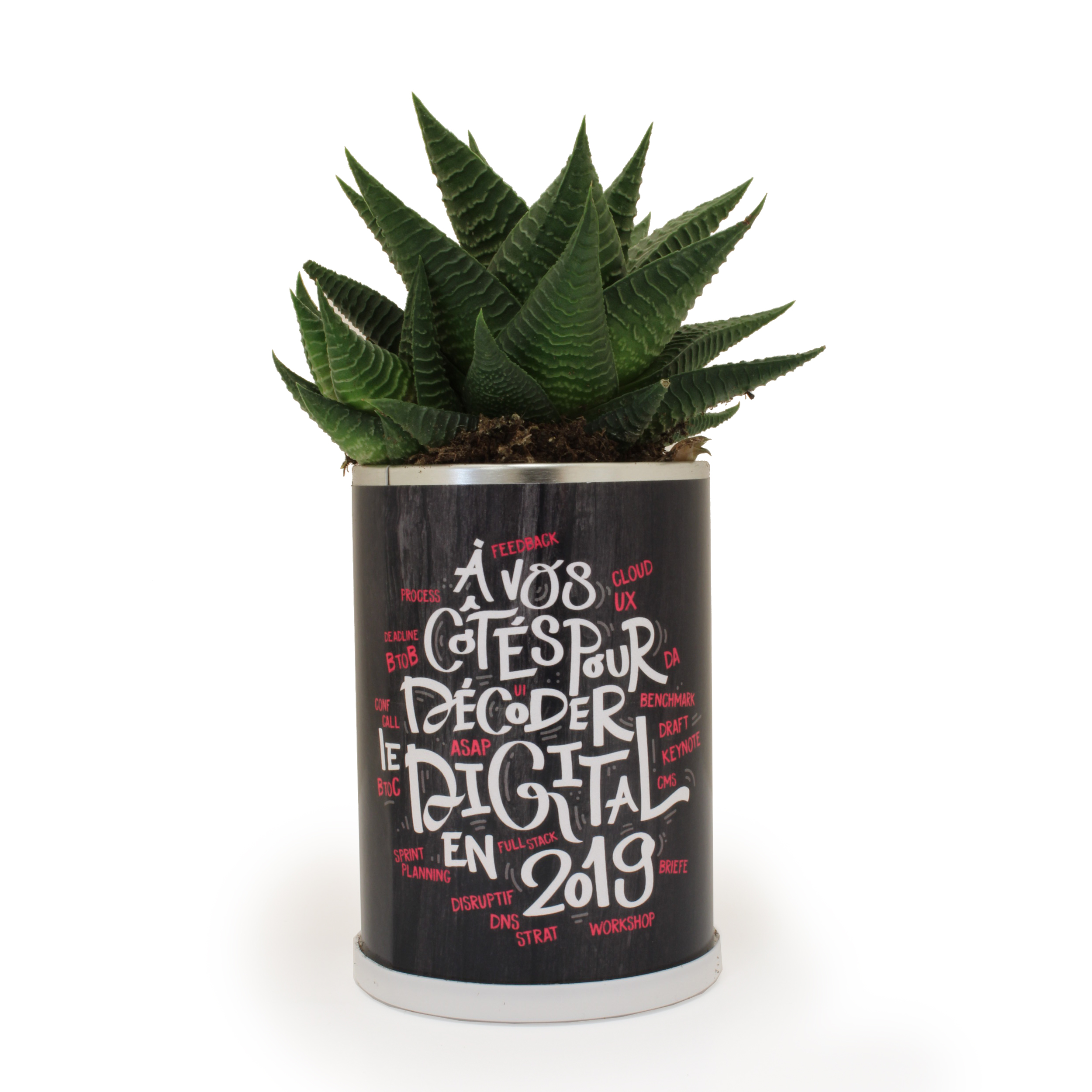 Plante Publicitaire dans Canette CALPÉ