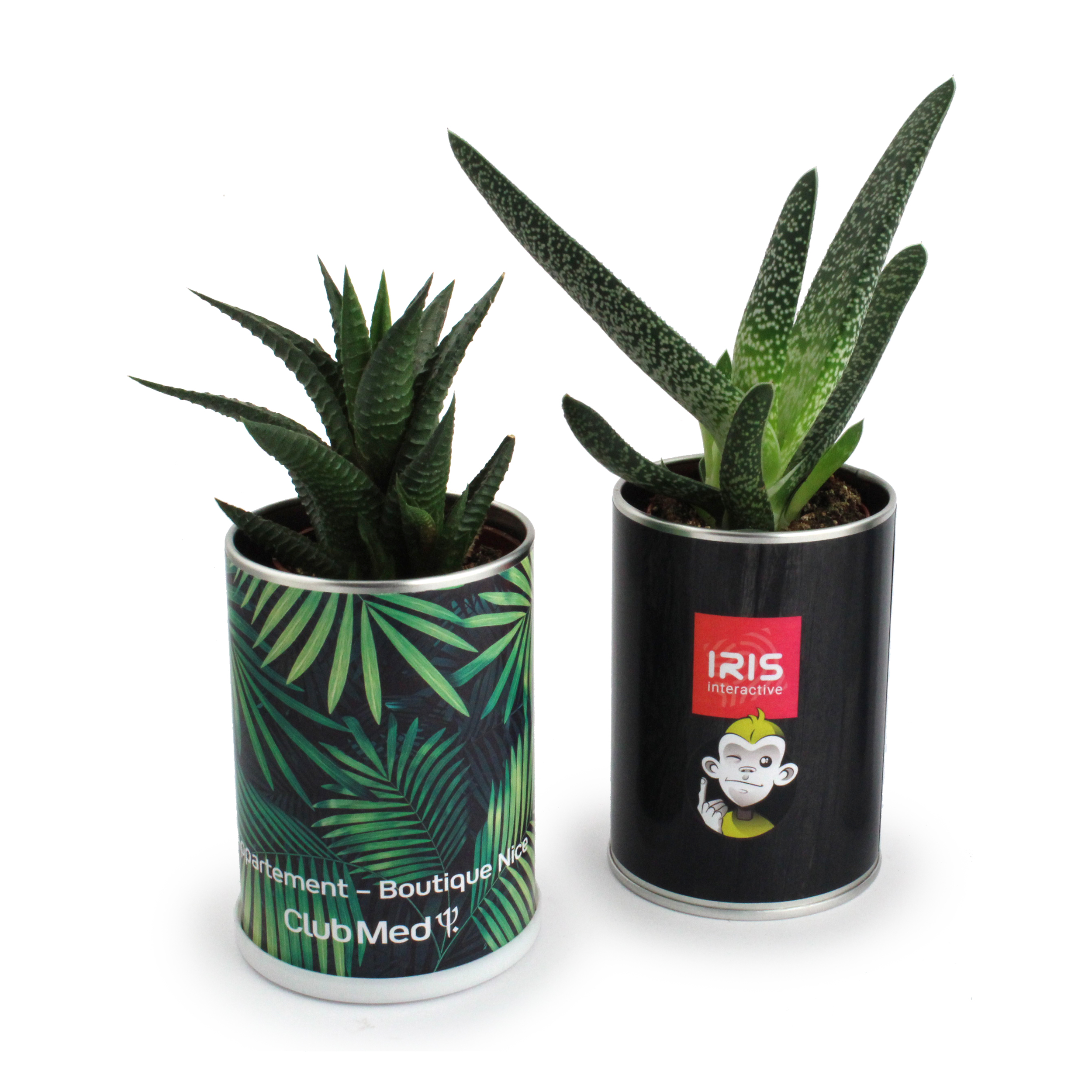 Plante Publicitaire dans Canette CALPÉ