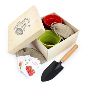 Box Jardinage coffret bois