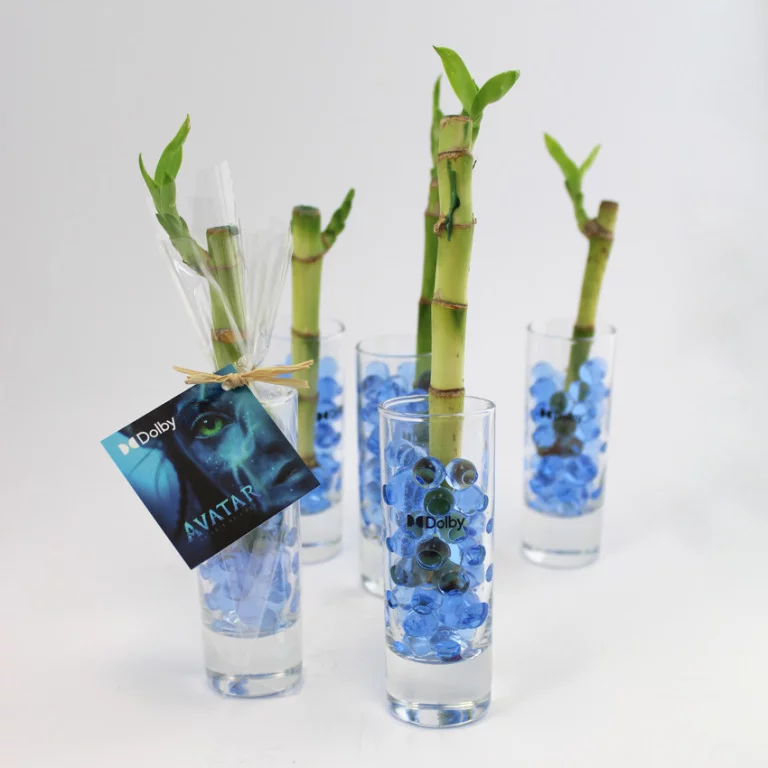 Bambou en vase - INCC02-3