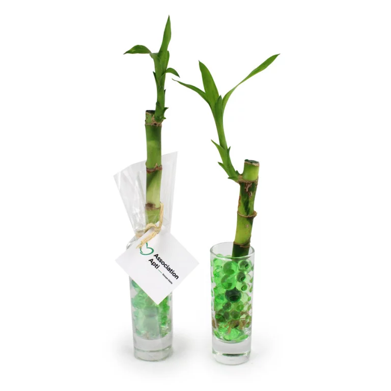 Bambou en vase - INCC02-4