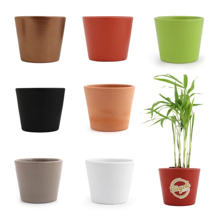 Cube plantation - INIDG18-2