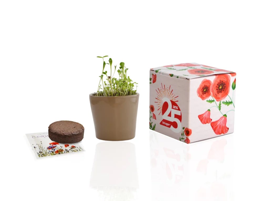 Cube plantation - INIDG18-3