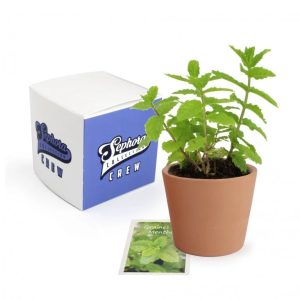 Kit de plantation cube personnalisé