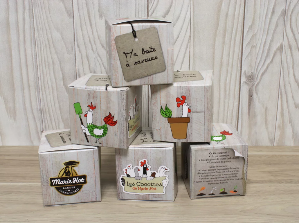 Cube plantation - INIDG18-5