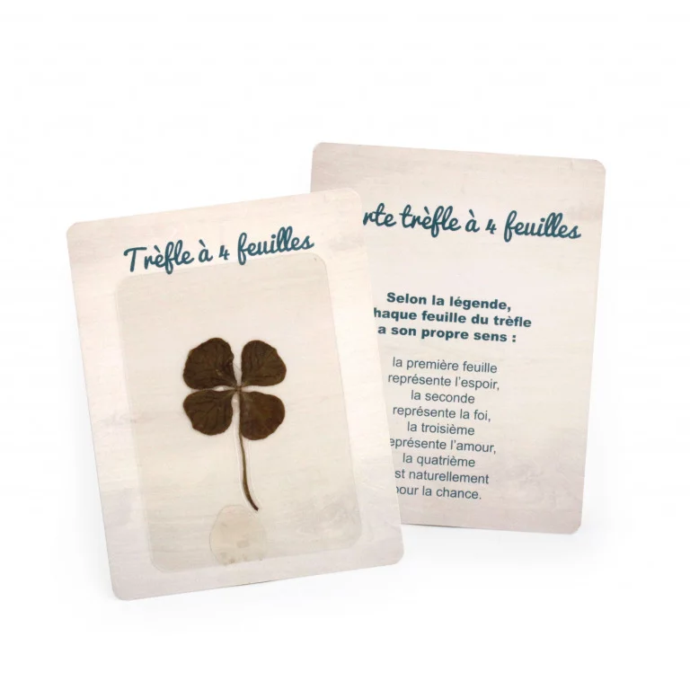Carte trèfle 4 feuilles - INIDG27CB-3