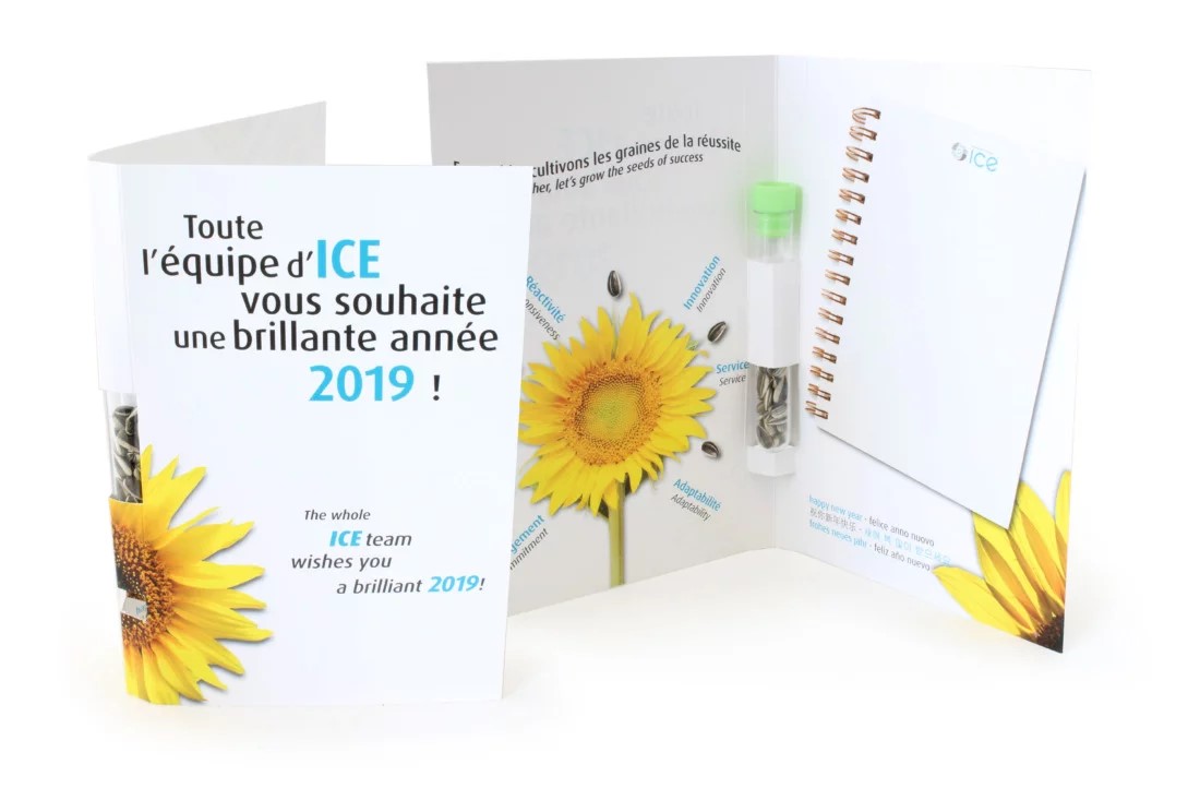 La graine postale - INIDG44-3