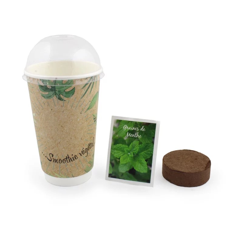 Smoothie à graines - INIDG73-4