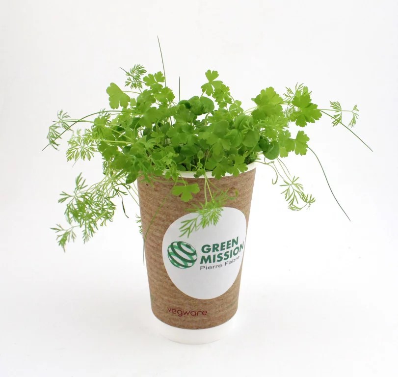 Smoothie à graines - INIDG73-6