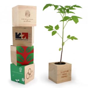 Kit de plantation cube bois