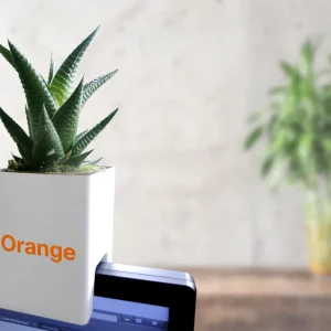 Plante Dépolluante Écran PC Personnalisée