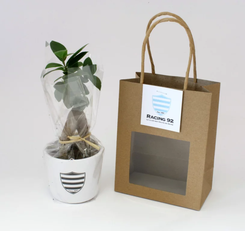 Plante prestige - INPL19A-5