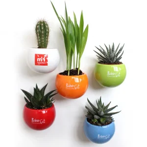 Plante Pot Céramique Aimanté Made in France personnalisé