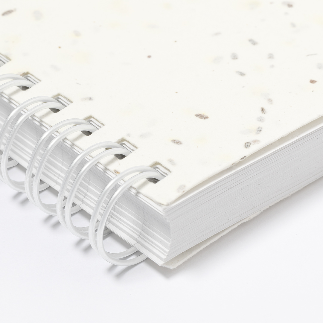 Cahier ensemencé BITAR - MA20950-4