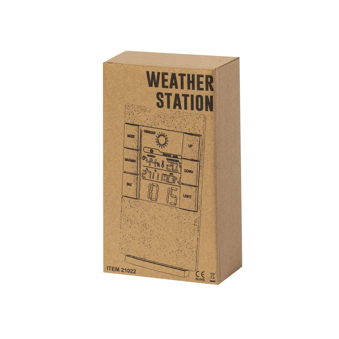 Sation météo MAGINLY - MA21022-5