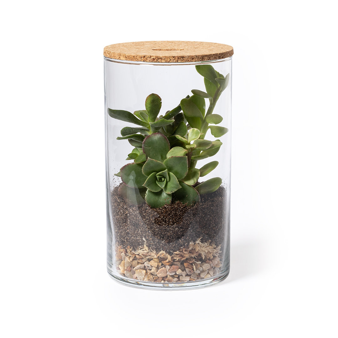 Terrarium Anymak - MA2692-2
