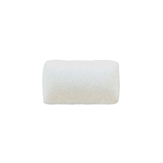 Chewing-gums menthe ANSE - SWCH12-2